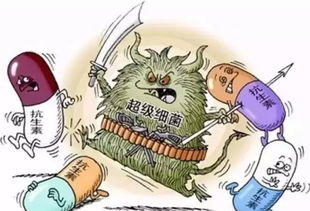 无抗养殖 衡量水产未来的天平，抗生素扮演关键砝码