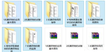 第十一季呼吸疾病感染与抗生素应用专题精品课件深度解析